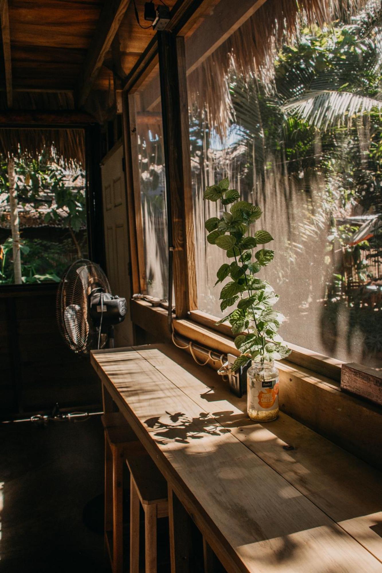 Vila Casa Austera El Paredón Buena Vista Exteriér fotografie